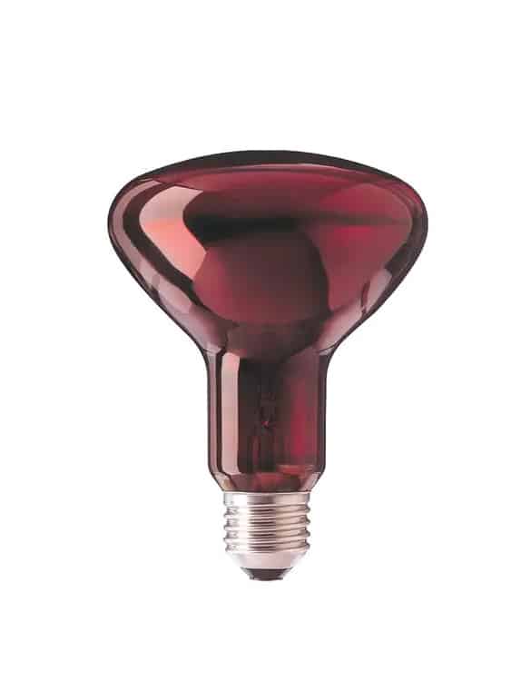 E27 100W Infrarot Reflektorlampe R95 von Pferdekämper hilft bei Muskelverspannungen 