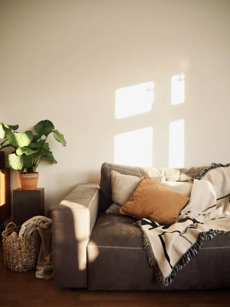 "Vintage - Warm und natürlich" - Graue Couch mit Kissen und Tagesdecke und Zimmerpflanze